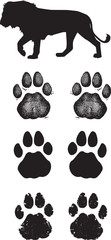 Naklejka premium Genuine Lion track or footprint