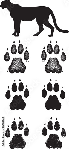 cheetah track bottom