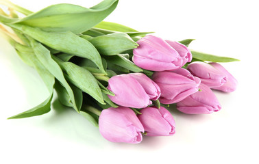 Beautiful bouquet of purple tulips, isolated on white