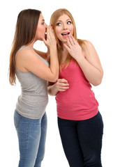 Two girl friends gossip isolated on white