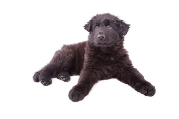 © Magnus Pomm - www.magnuspomm.de