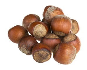 Dried hazelnuts
