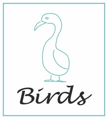 Obraz premium птица