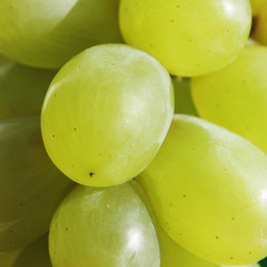 bunch of grapes