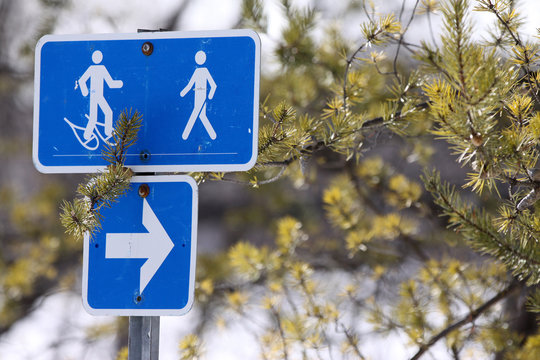 Promenade en nature