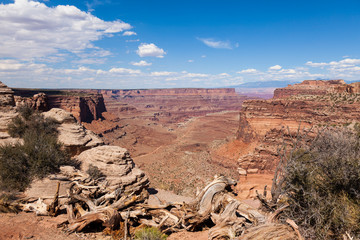 Canyonlands national park in Utah