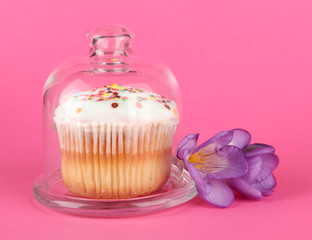 Cupcake on saucer with glass cover, on color background