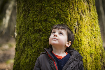 garçon en forêt