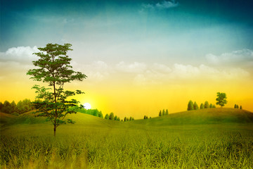 Grungy Nature. Abstract natural backgrounds with old paper added