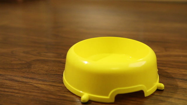 Empty pet plate on the floor slide camera view