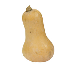 Butternut squash.