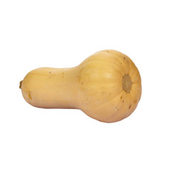 Butternut squash.
