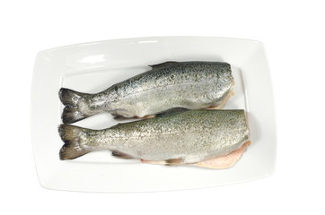 two fresh trout