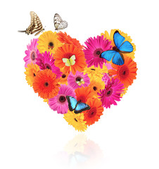 Heart symbol made of gerber blossoms with butterflies