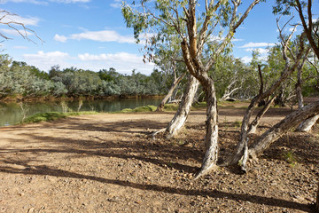 Fototapeta na wymiar Outback Billabong