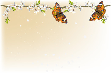 white floral branch and two orange butterflies