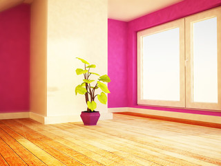 a plant near the window