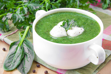 Healthy vegetable soup with spinach and mozzarella