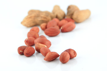 The Focus Peanuts on white background.