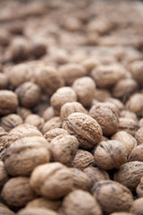 Walnuss - Juglans regia