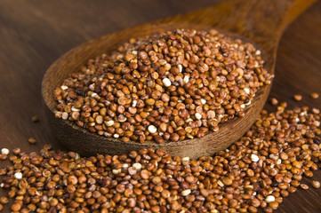Quinoa grain