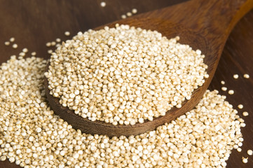 Quinoa grain