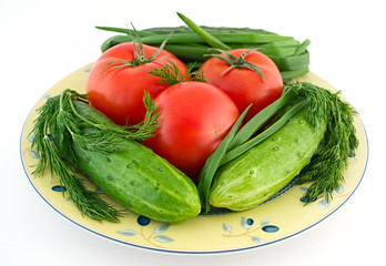 Dish with fresh vegetables