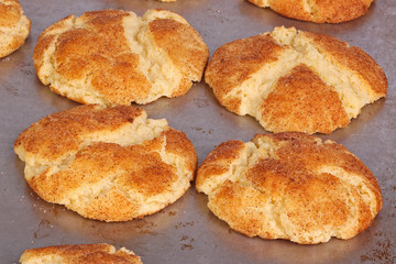 Freshly baked snickerdoodles still on the pan