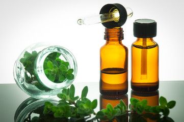 essential oil with oregano leaves - 50822552