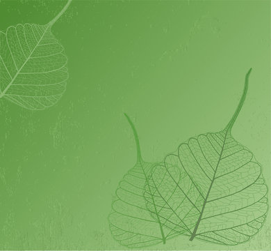 Background with leaves