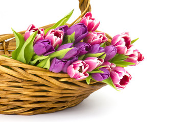 colourful tulips in a basket