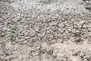 Drought