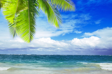 Beautiful tropical beach with clear ocean and palm trees 