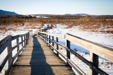 Fototapeta premium The bridge in the field