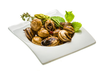 Escargot with asparagus, rosemary, thymus and tomato