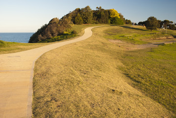 green way beside sea