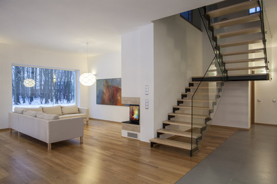 Designers interior - living room and a hall