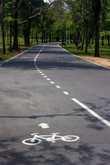 Obraz premium Bicycle lane