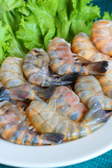 Shrimp Fresh