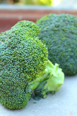 Broccoli