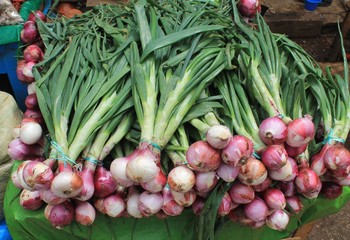 Fresh onions for sale at a Mexican market stall