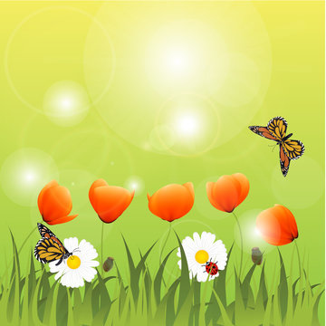 Spring nature background