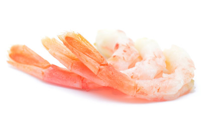 shrimps