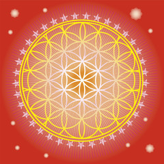 Flower of life in red space-vector illustration