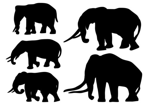 five elephant silhouettes isolated on white