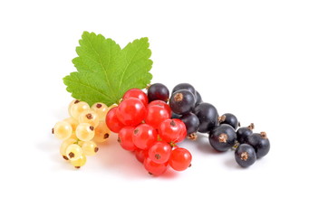 Johannisbeeren