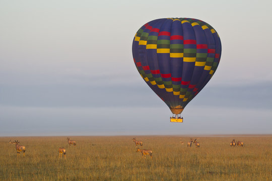 safari in mongolfiera