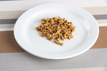 Wheat germs on plate, close up