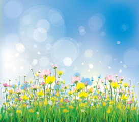 Fototapeta na wymiar Vector of colorful flowers on spring background.
