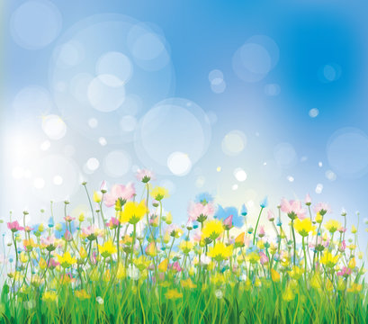 Vector of colorful flowers on spring background.